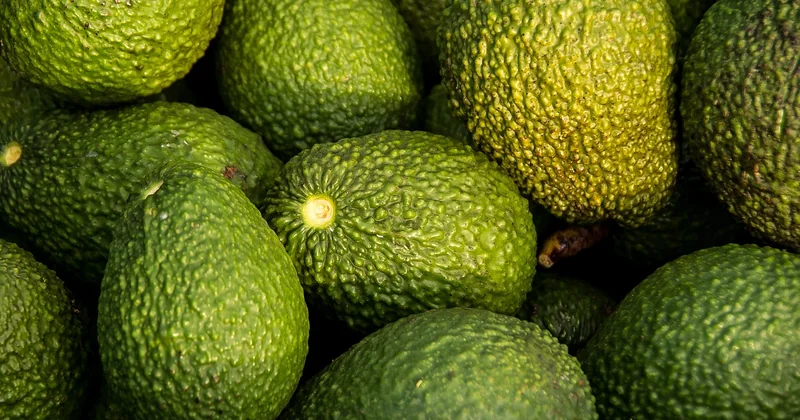 Honoraires et tarifs : combien coûte un avocat comme Natacha BAHRI ?