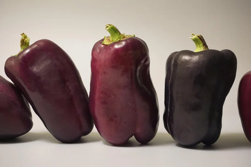 Les garanties essentielles à vérifier absolument