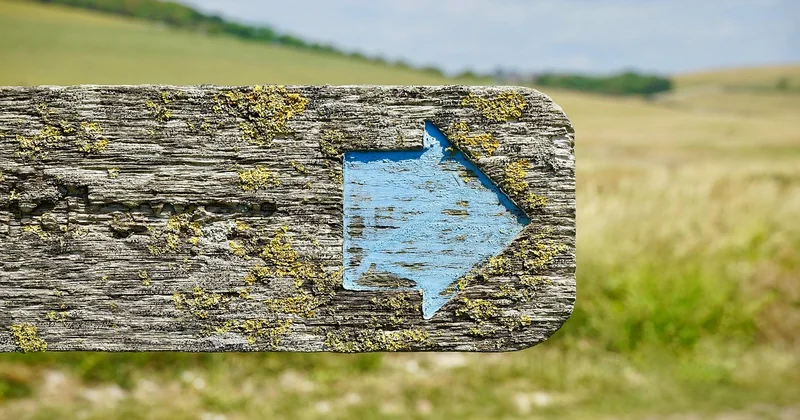 Extérieur et directionnel : le vrai casse-tête des zones d'activité