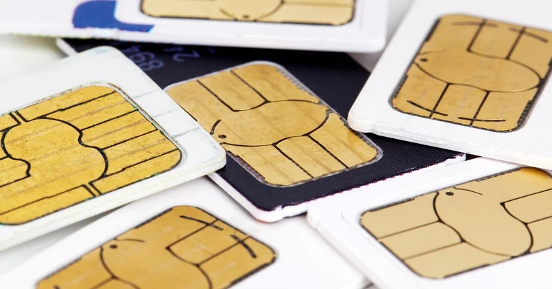 SYLAé : quel contact pour quelle situation ?