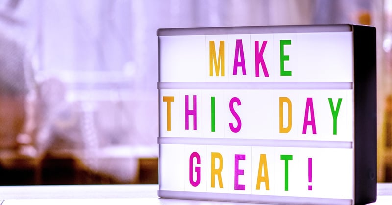 Lettre de motivation stage vétérinaire : le guide pour décrocher le poste