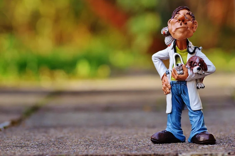 Les 5 éléments clés d’une lettre de motivation vétérinaire